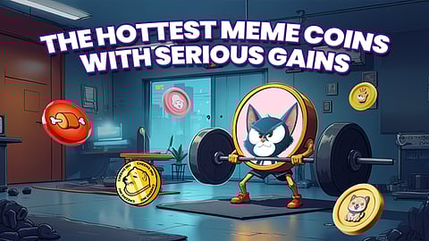 Best 100x Cryptos: Moo Deng, Fartcoin, and  Troller Cat Riding the Meme Wave After Bitcoin's Comeback
