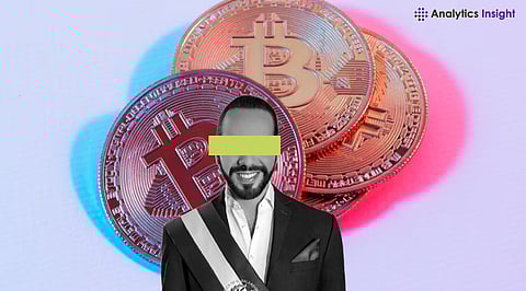 Conor McGregor Eyes Bitcoin Reserve for Ireland, to Meet Bukele in El Salvador