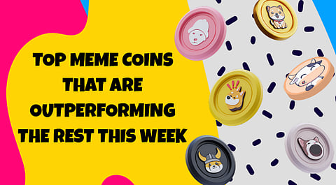May 26 Is the Cutoff! BTFD Is the Best Meme Coin Presale to Buy This Week—Plus PEPU and 3 Tokens for a Diverse Wallet