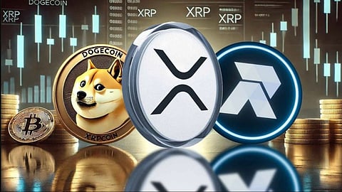 Xrpturbo