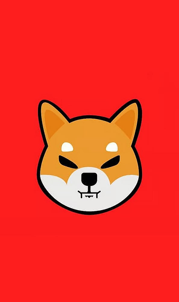 Investment Verdict: SHIB holds promise, but high volatility means it’s best for risk-tolerant, informed investors