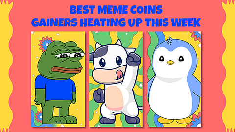 Bullish on the Top 10 Meme Coins? Don’t Sleep on Toshi’s Hype or BTFD’s Ability to Turn $2K Into $24K Soon!
