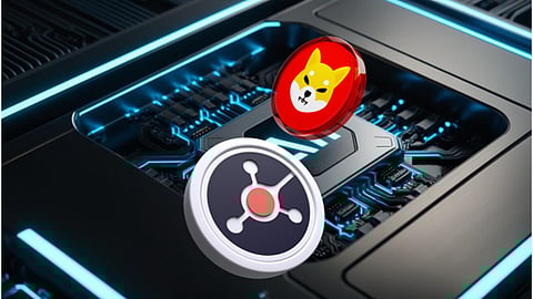 Shiba Inu (SHIB) Drops By 3% Over The Past 24H, But Analysts Say Ruvi AI (RUVI) Could Be The Next 100x Crypto 