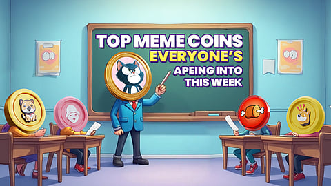 Best meme coins for long term investment