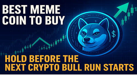 Best Meme Coin to Buy – What to Hold Before the Next Crypto Bull Run Starts