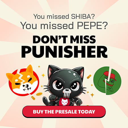 How $100 Could Become $10,000 With Punisher Coin – The New Meme Coin Turning Small Investors Into Crypto Whales