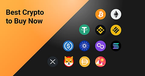 SNORT Leads the Hype as the Best Crypto to Buy Now — But Don’t Miss These Best Crypto Presales to Buy Now
