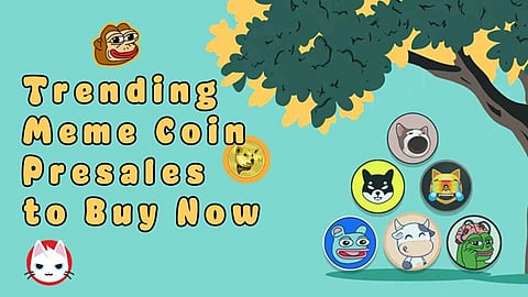 Cash Out Big: 6 Best Meme Coins to Buy Now Before They Explode in the Next Major Rally
