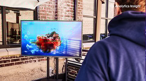 Best Outdoor TVs That Beat the Sun and Brave the Rain: Expert Picks