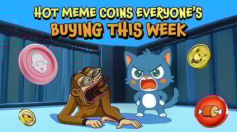5 Top New Meme Coins to Buy and Hold for Long Term—One Is Already Up 240% and Climbing Fast