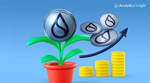 Top Sui Ecosystem Coins by Market Cap in 2025
