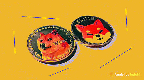 Shiba Inu's Rollercoaster_ Meme Coin Rides Market Volatility.jpg