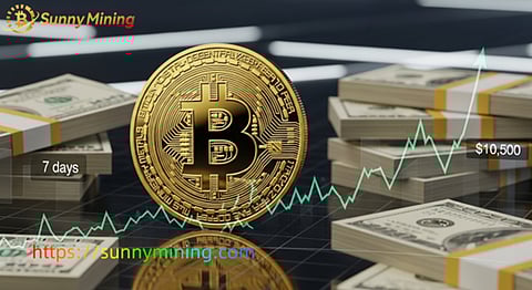 Withdraw $10,500 in 7 days, SunnyMining cloud mining achieves a leap in profits