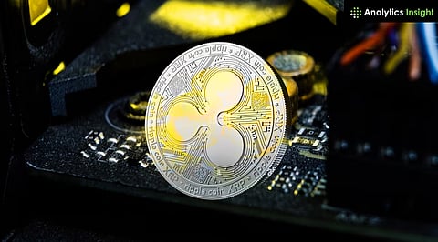 Webus and VivoPower Fuel XRP Hype With $421M Treasury Bet