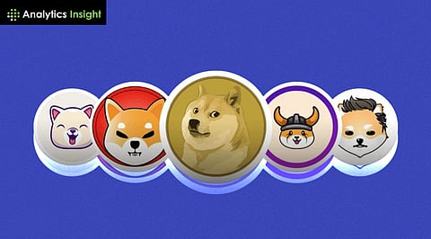 Best Memecoins to Grab During This Crypto Market Dip Season