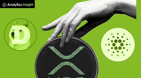 Is Unilabs the Smarter Pick Over Dogecoin and Cardano?