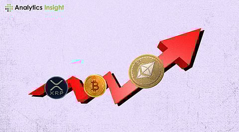 Top 10 Ethereum‑Based Altcoins with the Most Developer Momentum This Month