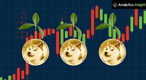 Dogecoin Makes a Big Move: Will the Next Impulse Push It Past $1?