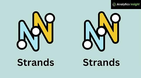 NYT Strands Casts a Line Outdoors With the Spangram TACKLEBOX for June 12, 2025