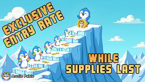 Best Time to Buy? Arctic Pablo Delivers Massive ROI While Dogs and Book of Meme Light Up 2025