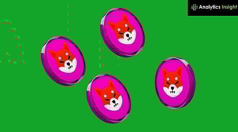 Shiba Inu Price Prediction in June 2025