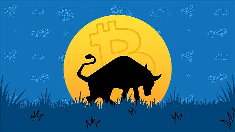 Crypto Bull Run