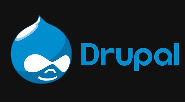 Best CMS for News Publishers in 2025