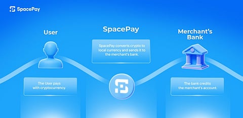 crypto wallet