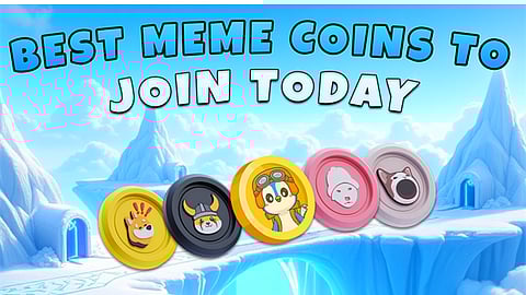 Experts Reveal The 6 Top Meme Coins To Buy For 2025 With Massive ROI Potential
