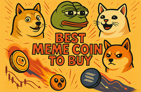 PEPE vs BONK: Which Meme Coin Is Attracting The Most Interest From Crypto Whales?