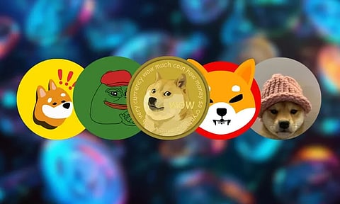 Floki, SPX & Bonk Pump 10%