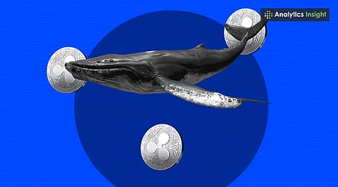 Whale Moves $60M in XRP to Coinbase: What Could Happen Next?