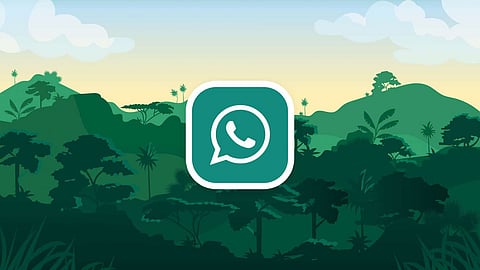 GB WhatsApp APK Download Latest Version, Features, Pros & Guide | GBWhatsAp.Org