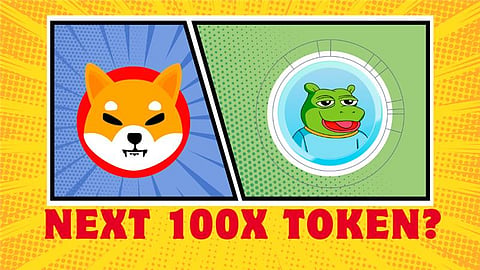 Could This MemeFi Token Deliver 100x Like Shiba Inu? Early Investors Think So
