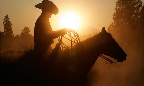 The Ugly Truth About Cowboy Market Makers in Web3