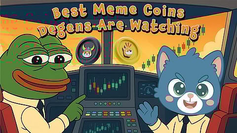 Under-the-Radar and Exploding: The Cat Coin That Tops 10 New Meme Coins to Join Today