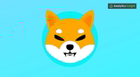 Shiba Inu News: SHIB Surpasses Litecoin in Market Cap After Massive Token Burn Spike