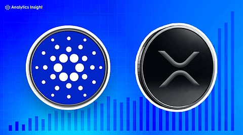 As Cardano and XRP Surge: Is This Meme Coin the Best Buy Now?

