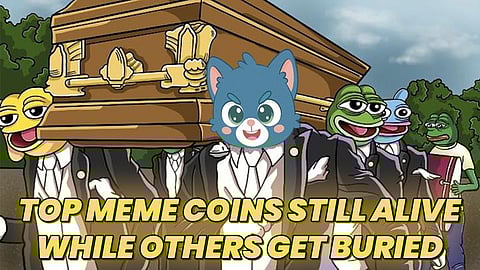 Top 10 Meme Coins in 2025: This $0.00009667 Cat Token Already Has $400K in the Bag