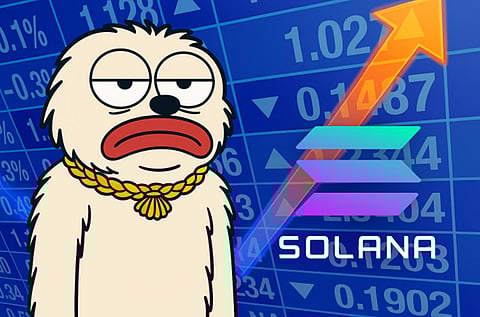 Whales and VCs Rushed In DALPY COIN Presale Ends in Just Two Days 