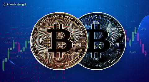 Top 5 Free Metrics to Help You Invest in Bitcoin