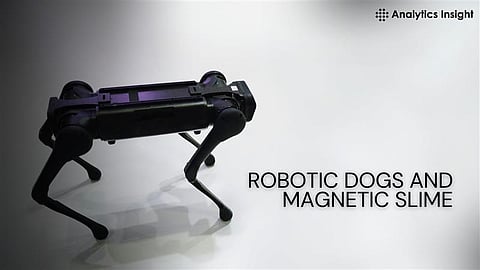 How Robots Like Robotic Dogs and Magnetic Slime are Changing Lives?