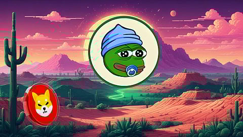 Little Pepe