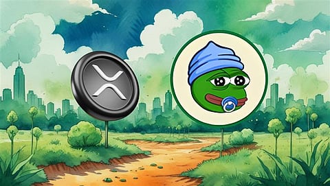 Ripple Top Holders Quietly Accumulating XRP Ahead of $7 Rally And This -$1 Token Before 35x Price Explosion