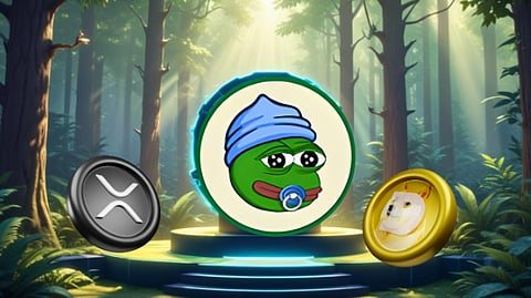 RSI Indicator Suggests Ripple (XRP) May be Overbought as Investors Pivot to Dogecoin (DOGE) and Little Pepe (LILPEPE) in 2025