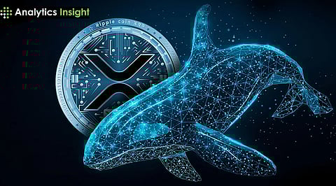 XRP News Today: XRP Whale Buys 900K Tokens Worth $1.7M Before SEC Update