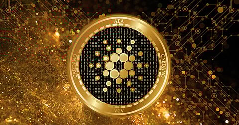 Cardano's Hoskinson Launches Passion Project Midnight, Here's Why Whales Still Favour This Layer 2 Altcoin