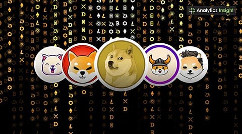 Why Are Memecoins Successful_ Top Reasons Behind the Hype