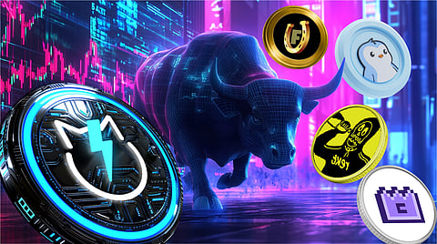 Best Meme Coins to Buy: Discover the Top Meme Coins Kicking Off the Altseason Bull Market