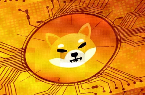 Best Meme Coins to Buy in 2025 as Shiba Inu Coin Loses Ground to Fresher Market Leaders
